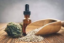 ILGM Review